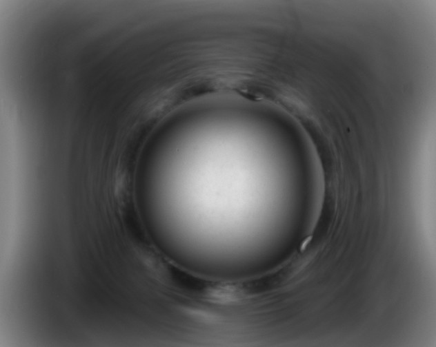 X0000086100079200703301224