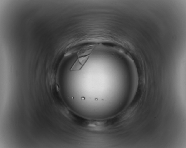 X0000086100081200703301224
