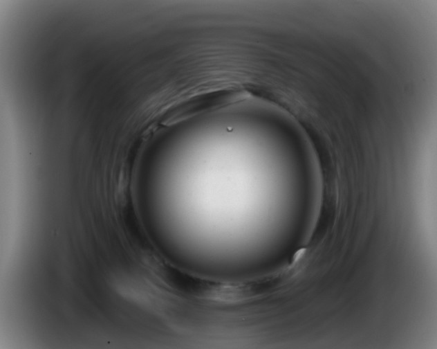 X0000086100082200703301224