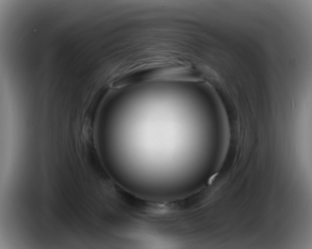 X0000086100083200703301224