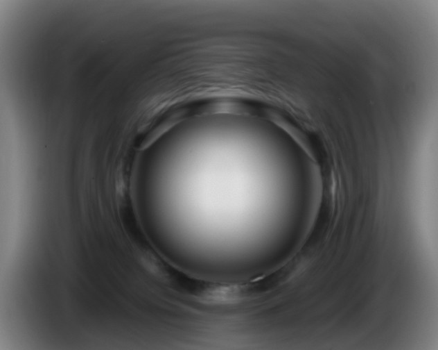 X0000086100084200703301224