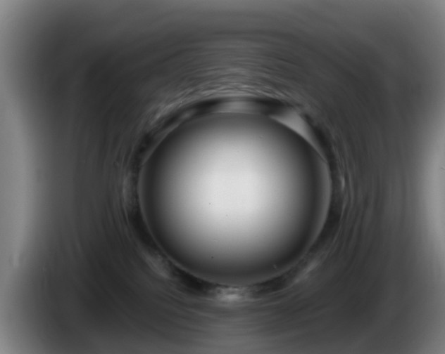 X0000086100088200703301224