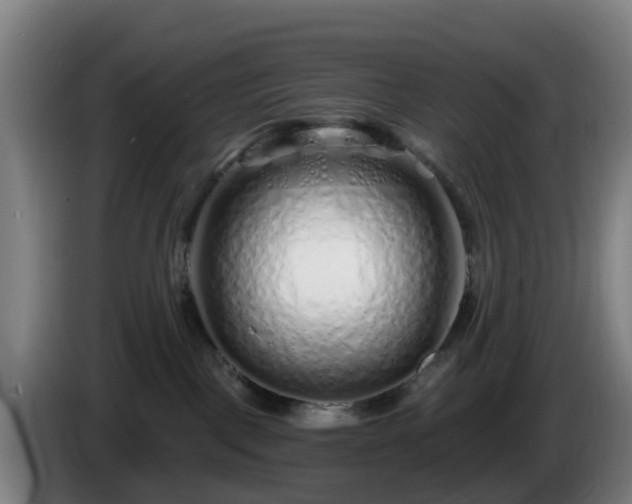 X0000086100093200703301224