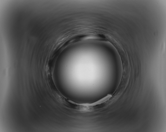 X0000086100096200703301224