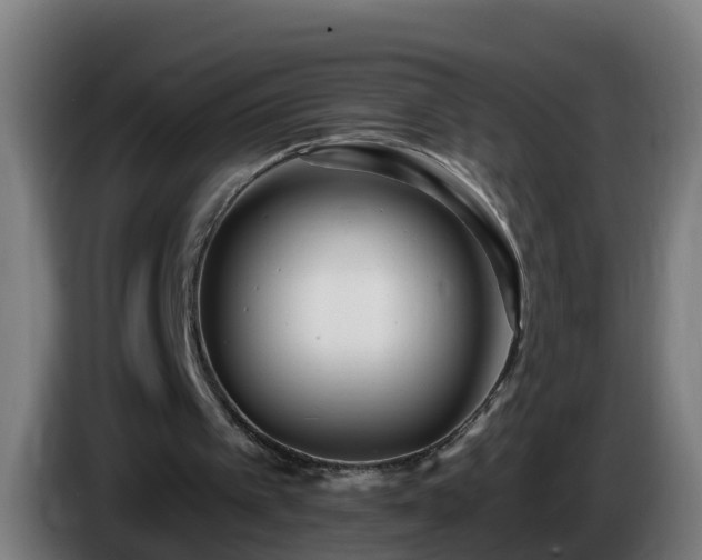 X0000086100097200703301224