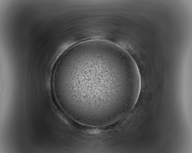 X0000086100098200703301224