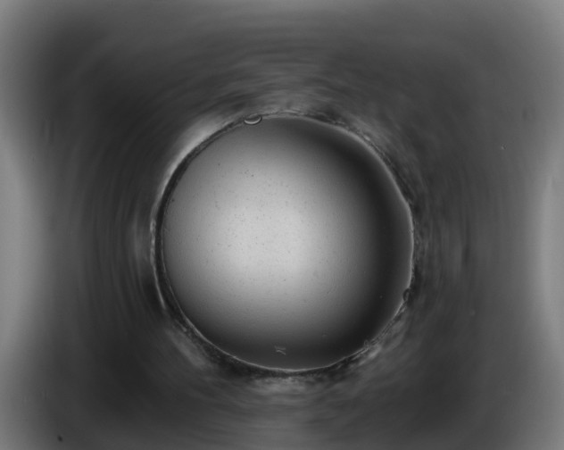 X0000086100100200703301224