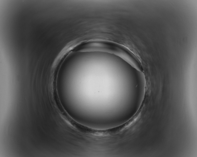 X0000086100101200703301224