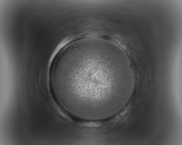 X0000086100102200703301224