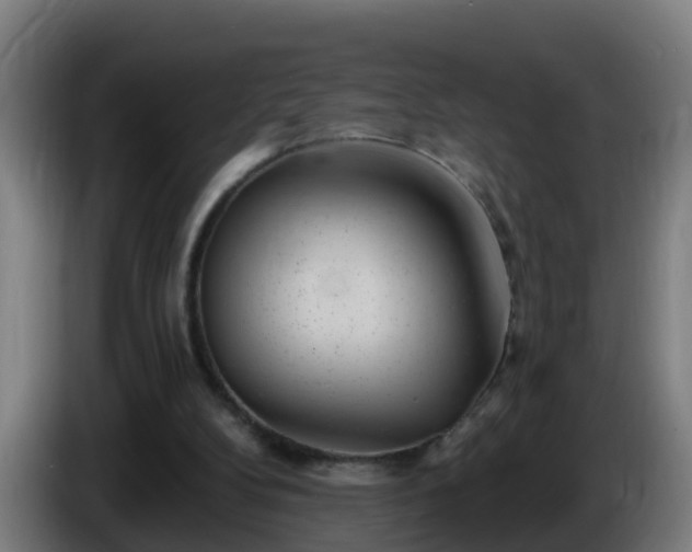 X0000086100104200703301224