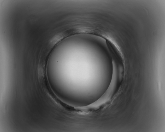 X0000086100105200703301224