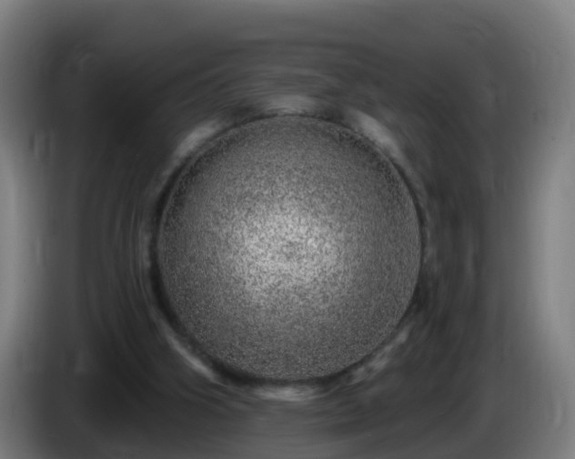 X0000086100106200703301224