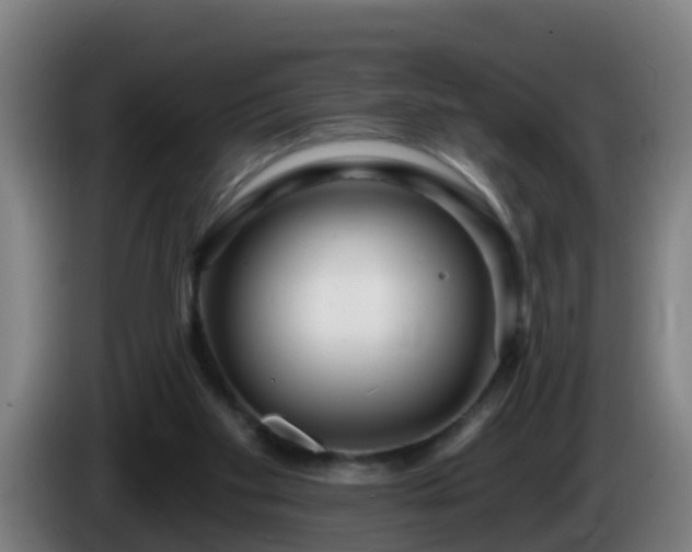 X0000086100109200703301223