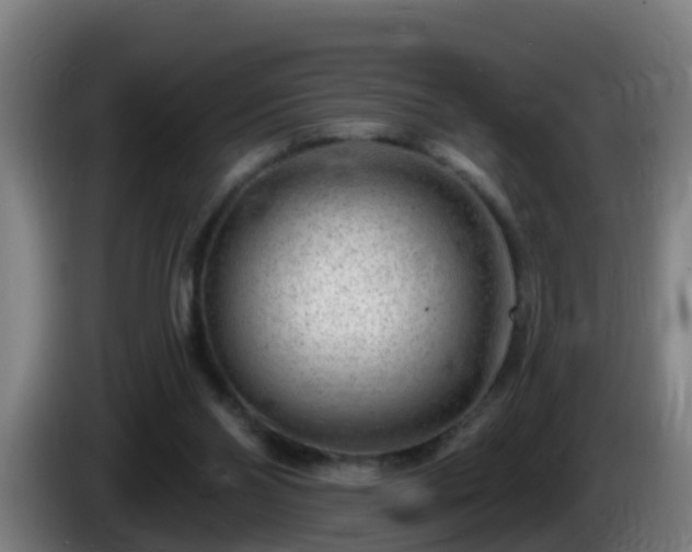 X0000086100110200703301223