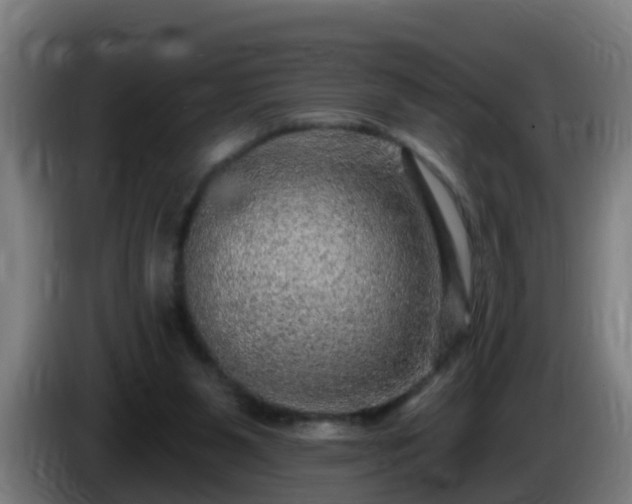 X0000086100111200703301223