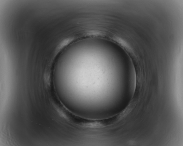X0000086100112200703301223