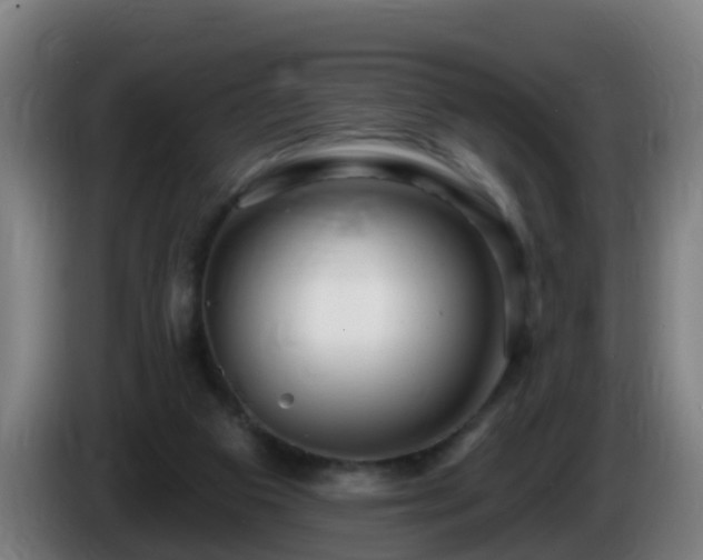 X0000086100113200703301223