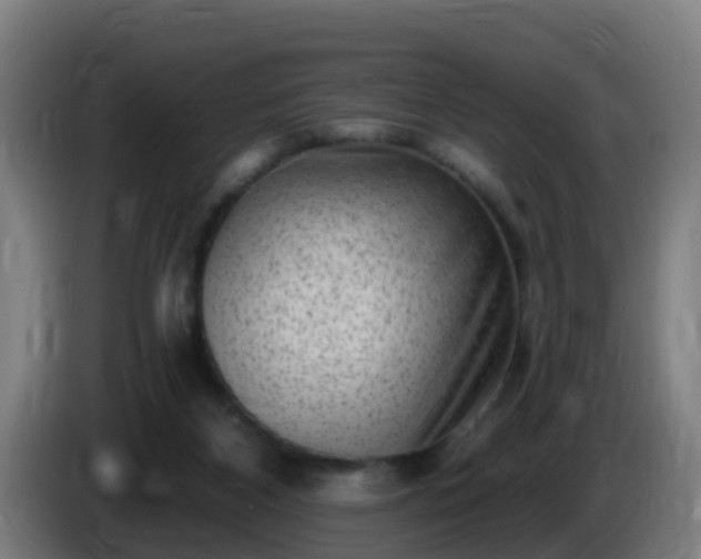 X0000086100116200703301223