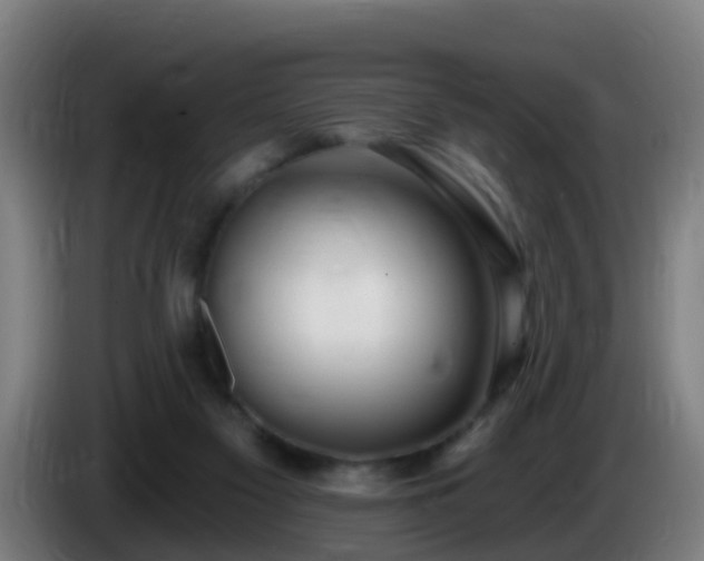 X0000086100117200703301223