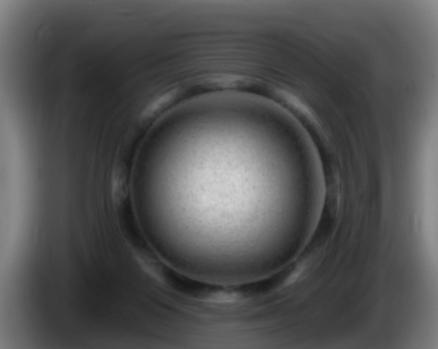 X0000086100119200703301223