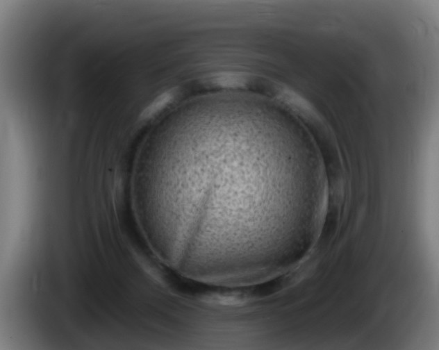 X0000086100120200703301223