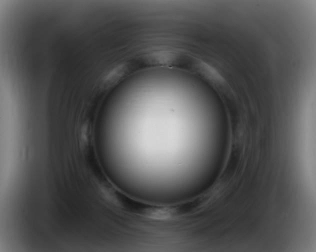 X0000086100122200703301223
