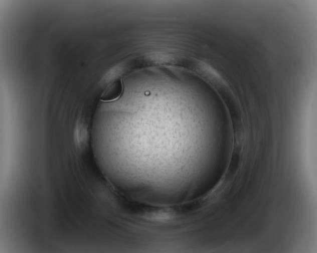 X0000086100124200703301223