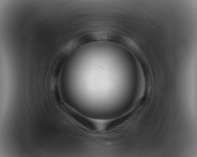 X0000086100125200703301223