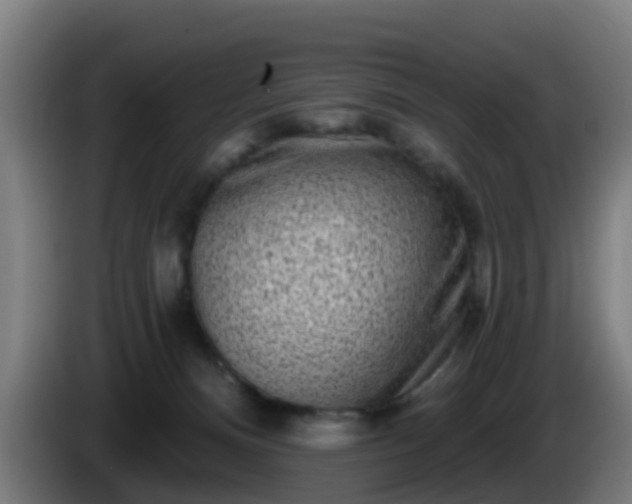 X0000086100128200703301223