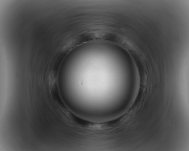 X0000086100129200703301223