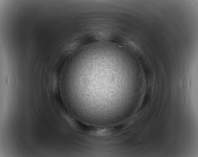 X0000086100130200703301223