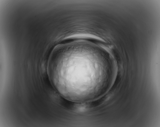 X0000086100131200703301223