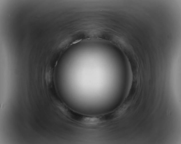 X0000086100133200703301223