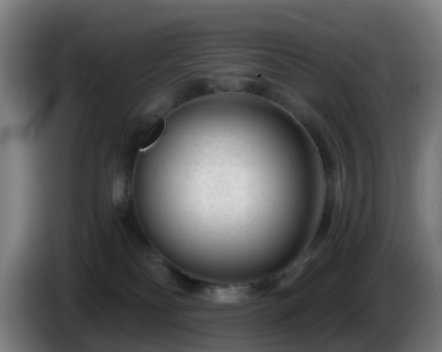 X0000086100134200703301223