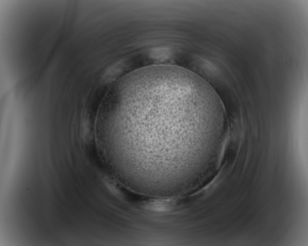 X0000086100136200703301223