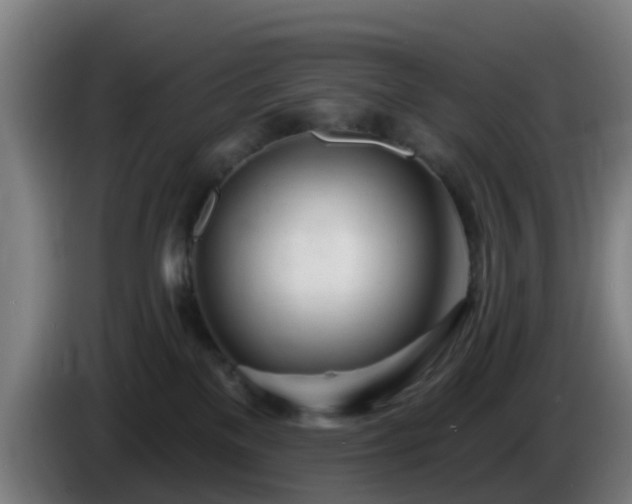 X0000086100137200703301223