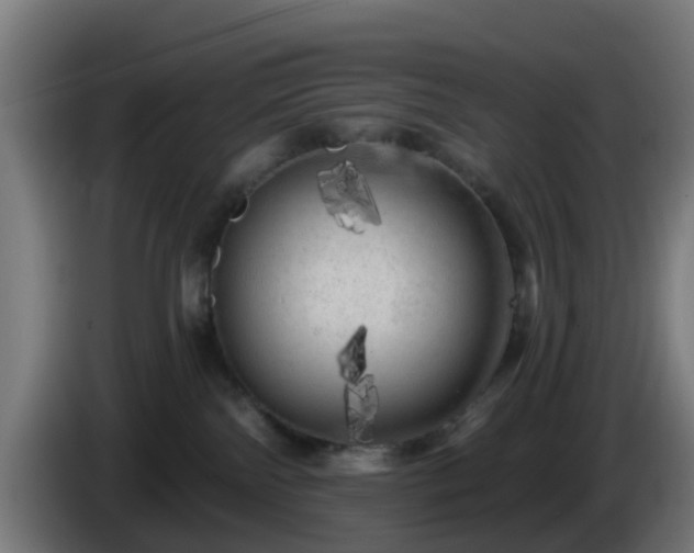 X0000086100138200703301223