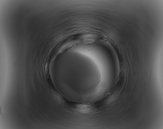 X0000086100139200703301223
