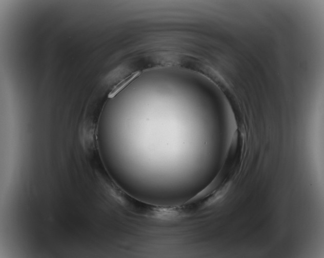 X0000086100141200703301223