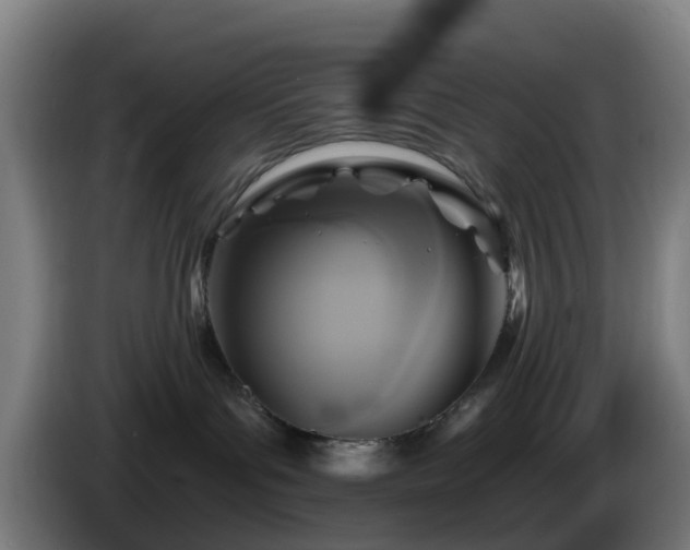 X0000086100143200703301223