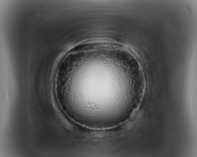 X0000086100145200703301222