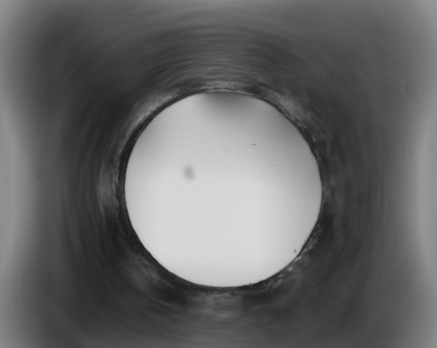 X0000086100146200703301222