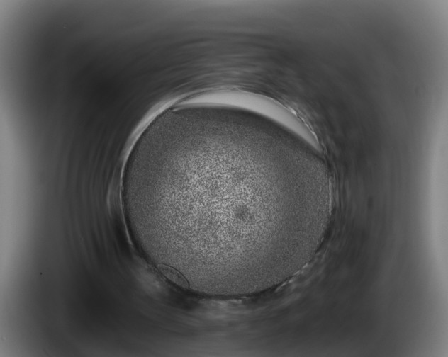 X0000086100147200703301222