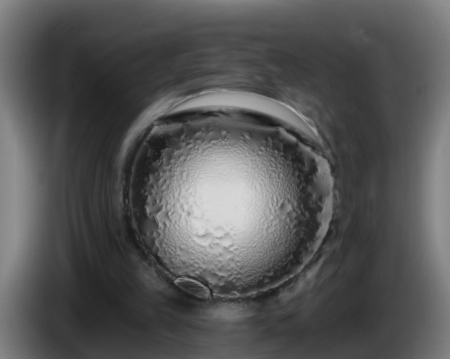 X0000086100149200703301222