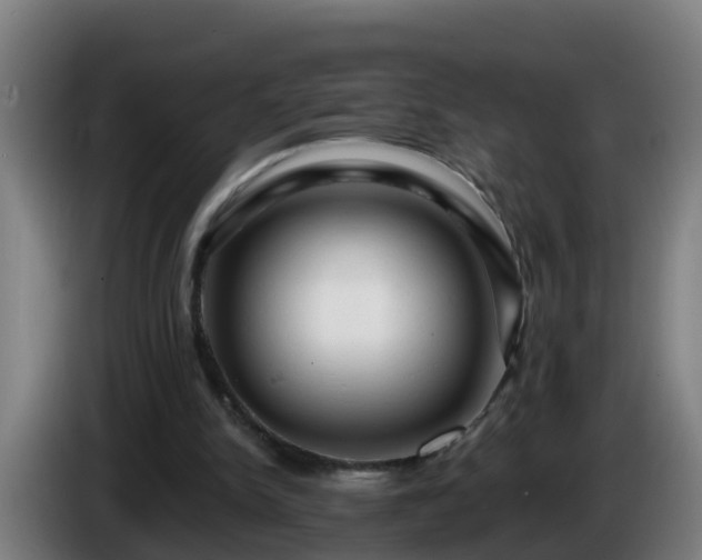 X0000086100150200703301222