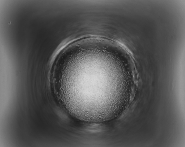X0000086100151200703301222