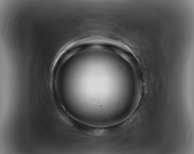 X0000086100152200703301222
