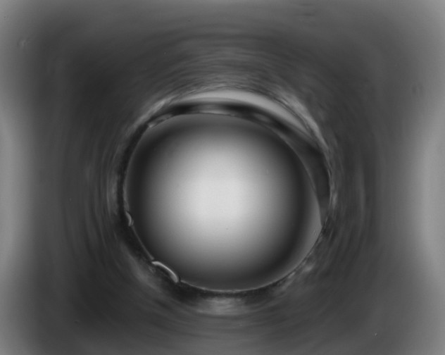 X0000086100154200703301222