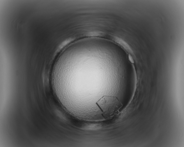X0000086100155200703301222