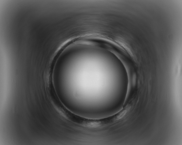 X0000086100156200703301222